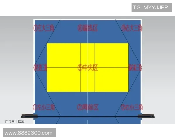 杭州乒乓球队控制策略分析及其在全国赛事中的影响探讨