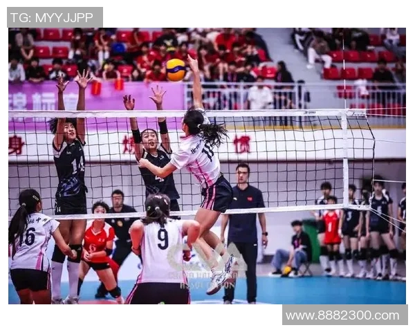 上海排球队在排球团队协作排行榜中荣获第五名展现出强大实力与团队精神