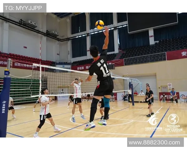 专业解读:成都排球队的运营打法 专业解读:成都排球队的运营打法