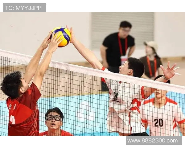 排球盛宴：深入了解西安排球队的团队配合与默契之道